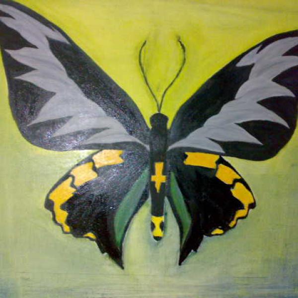 Kupu-Kupu, 2009
